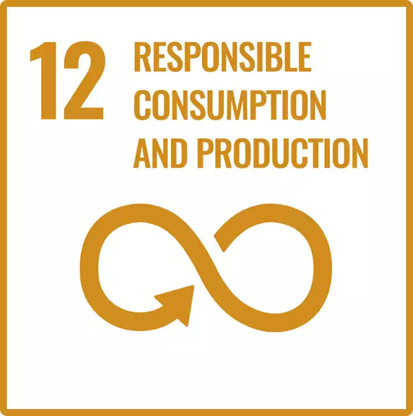 Sustainable Development Goal 12