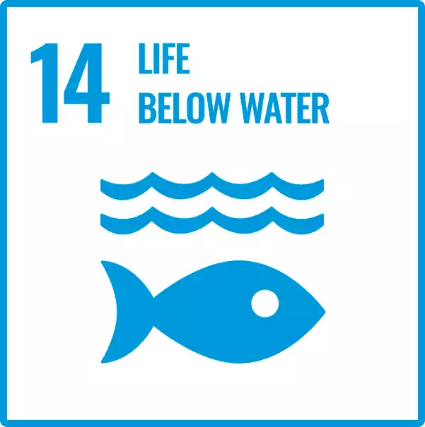 Sustainable Development Goal 14