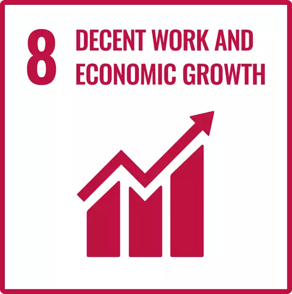 Sustainable Development Goal 8